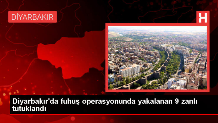 Diyarbakır’da düzenlenen fuhuş operasyonunda 9 kuşkulu tutuklandı
