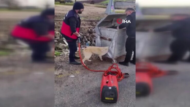 Diyarbakır’da başı çöp konteynerine sıkışan köpek bu türlü kurtarıldı