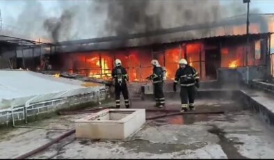 Diyarbakır’da Güvercin Oteline Yangın: 300’e Yakın Güvercin Öldü