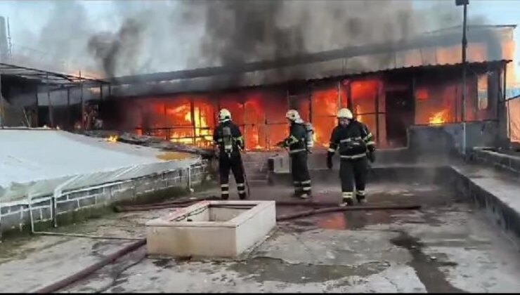 Diyarbakır’da Güvercin Oteline Yangın: 300’e Yakın Güvercin Öldü
