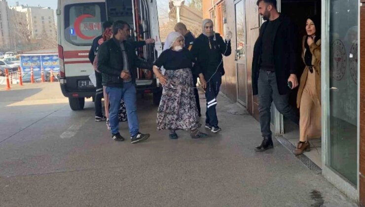 Diyarbakır’da köpek saldırısı: 72 yaşındaki bayan yaralandı