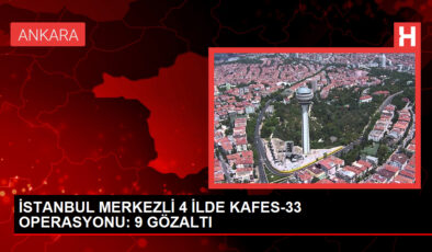 İstanbul merkezli hata örgütü çökertildi